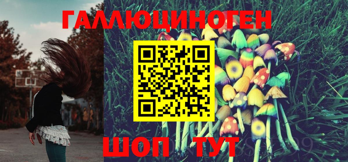 Омск  Псилоцибиновые грибы Psilocybine cubensis  Псилоцибиновые грибы Cubensis  Вход с VPN 